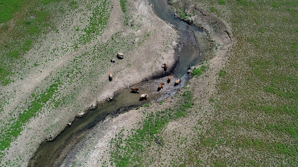 Foto - Kış kurak geçmişti! İşte İstanbul barajlarındaki son durum