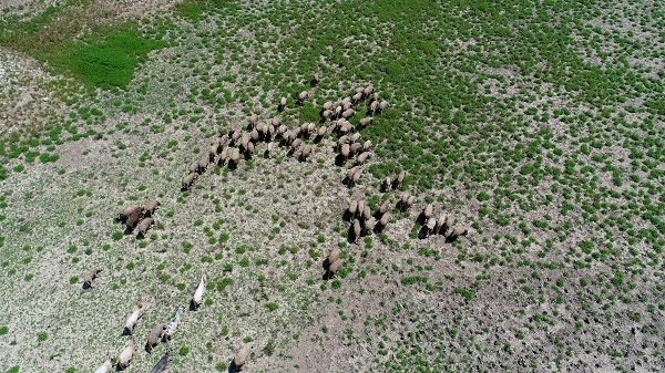 Foto - Kış kurak geçmişti! İşte İstanbul barajlarındaki son durum