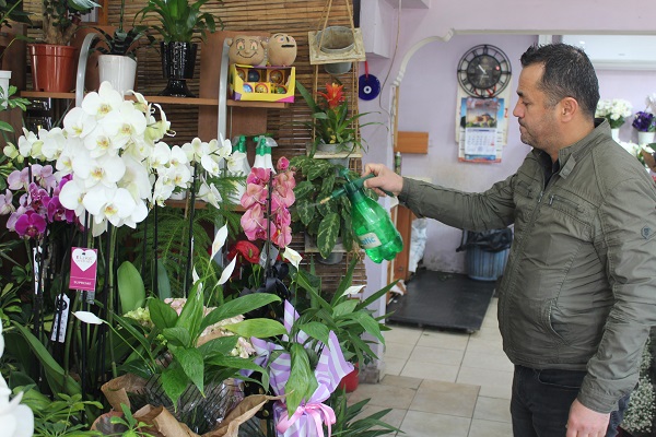 Foto - Kış mevsiminde çiçek bakımı nasıl olmalı? 