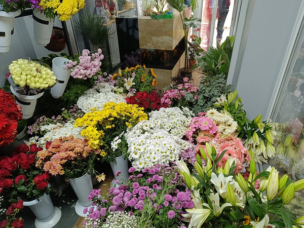 Foto - Kış mevsiminde çiçeklere nasıl bakılır?