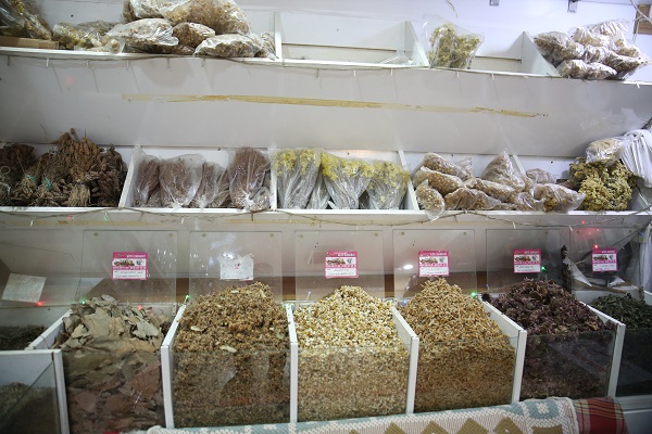 Foto - Kış mevsiminde en çok hangi bitki satılıyor?