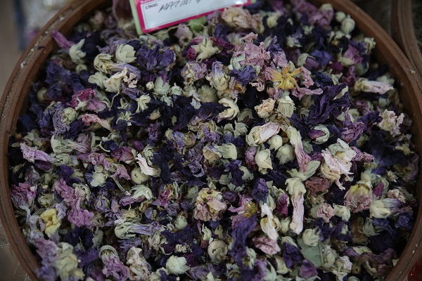 Foto - Kış mevsiminde en çok hangi bitki satılıyor?