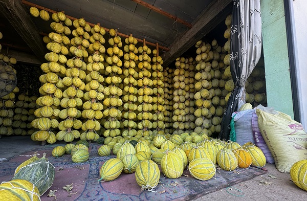 Foto - Kış sofraları için hummalı çalışma başladı