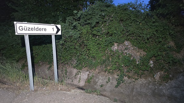 Foto - Kış teğet geçince olanlar oldu! O ilimiz adeta kene istilasına uğradı