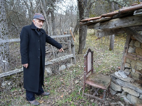 Foto - Kış uykusuna yatmayan ayılar kabus oldu