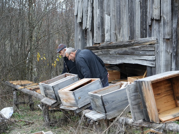 Foto - Kış uykusuna yatmayan ayılar kabus oldu