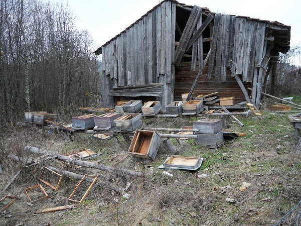 Foto - Kış uykusuna yatmayan ayılar kabus oldu