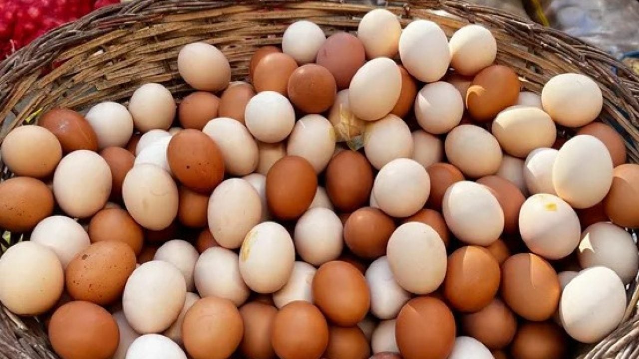 Foto - Kişi başı tüketilen sayı şaşkına çevirdi! İşte dünyanın en çok yumurta yiyen 10 ülkesi