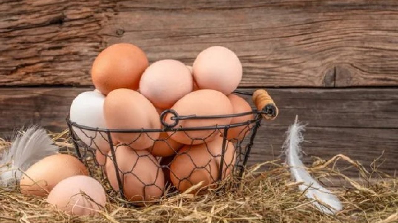 Foto - Kişi başı tüketilen sayı şaşkına çevirdi! İşte dünyanın en çok yumurta yiyen 10 ülkesi