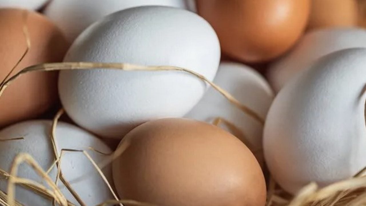 Foto - Kişi başı tüketilen sayı şaşkına çevirdi! İşte dünyanın en çok yumurta yiyen 10 ülkesi