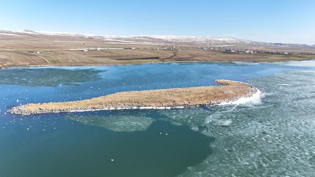 Foto - Kışın atlı kızak gezintisi yapılan Çıldır Gölü’nde buzlar eriyor! O anlar dronla görüntülendi!