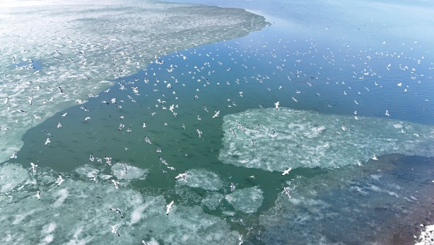 Foto - Kışın atlı kızak gezintisi yapılan Çıldır Gölü’nde buzlar eriyor! O anlar dronla görüntülendi!