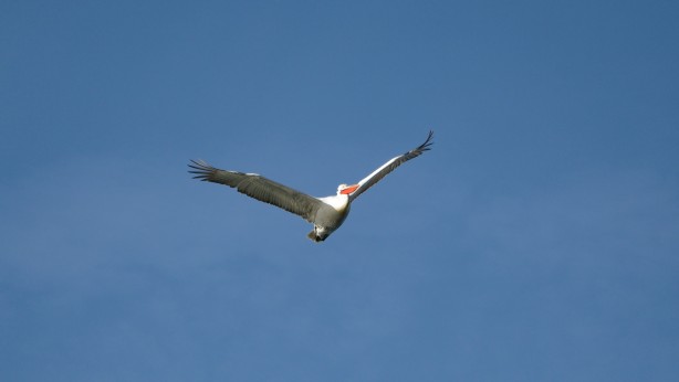 Foto - Kışın atlı kızak gezintisi yapılan Çıldır Gölü’nde buzlar eriyor! O anlar dronla görüntülendi!