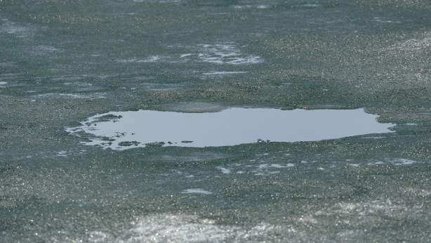 Foto - Kışın atlı kızak gezintisi yapılan Çıldır Gölü’nde buzlar eriyor! O anlar dronla görüntülendi!