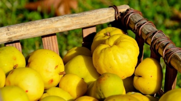 Foto - Kışın bu meyveleri bol bol tüketin!