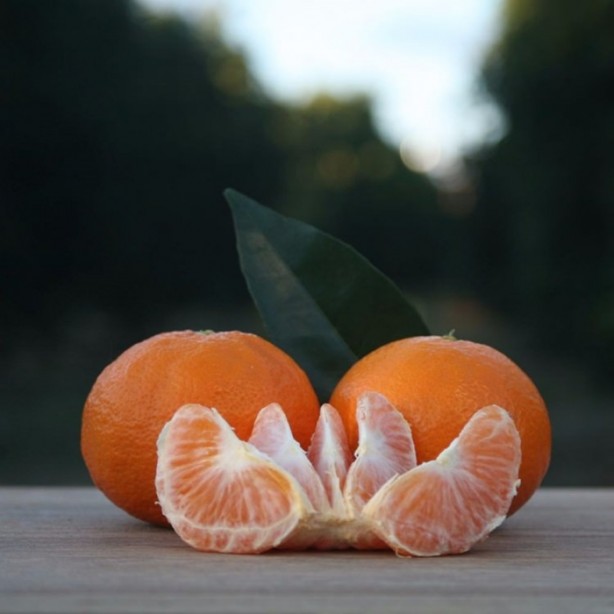 Foto - Kışın bu meyveleri bol bol tüketin!