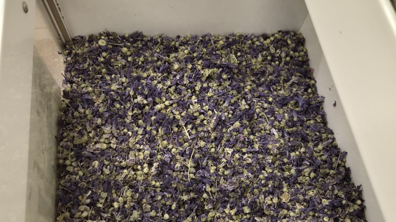 Foto - Kışın favorisi: Zencefil, propolisli macun, kara mürver ve karadut pekmezleri: Talep patlaması...