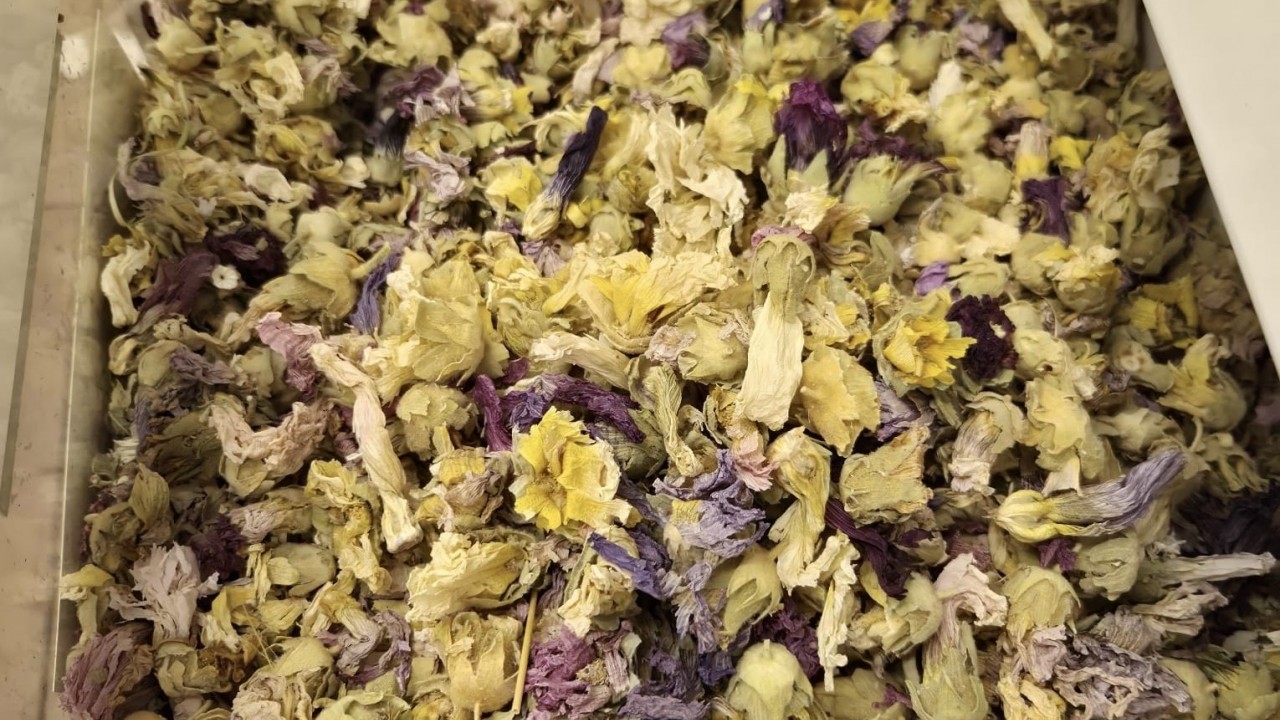 Kışın favorisi: Zencefil, propolisli macun, kara mürver ve karadut pekmezleri: Talep patlaması...