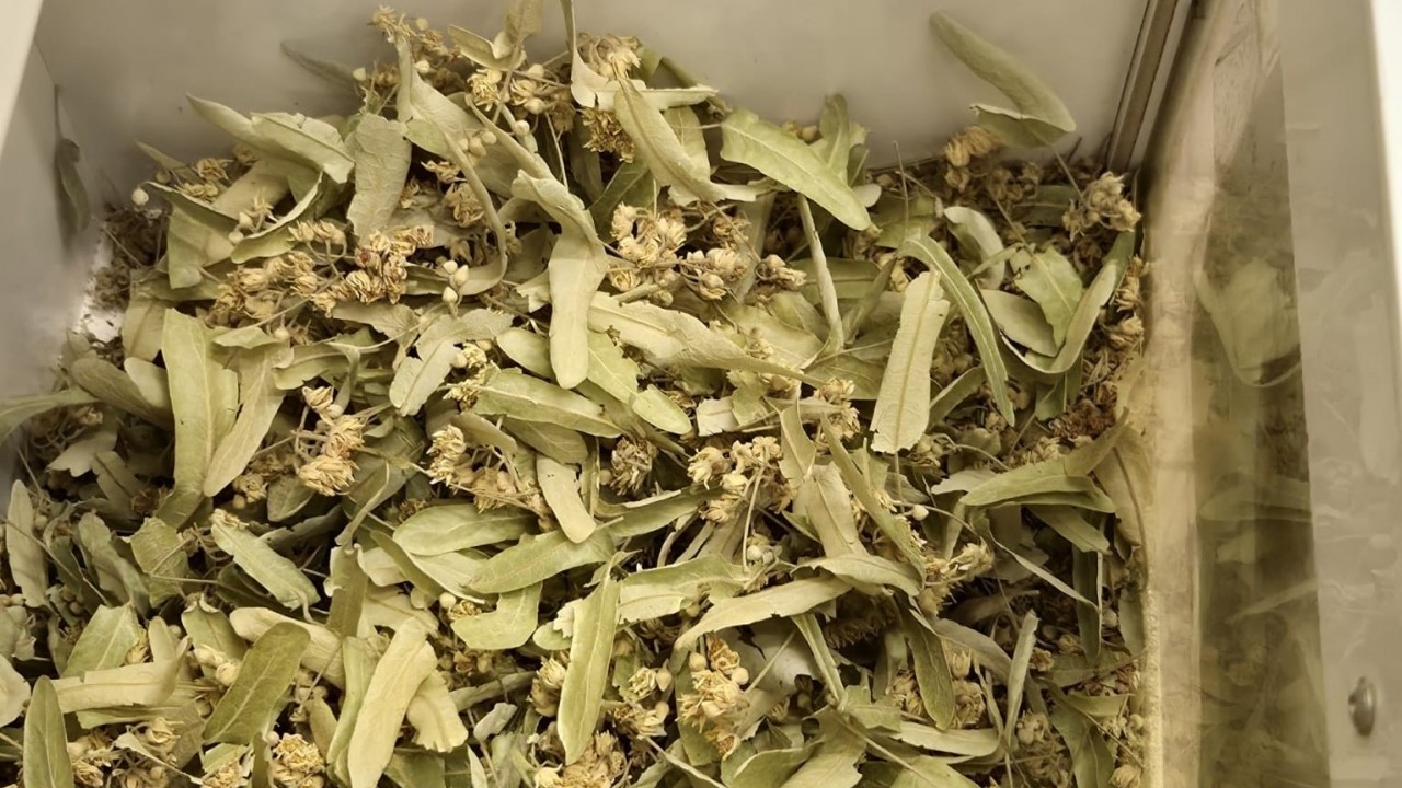 Foto - Kışın favorisi: Zencefil, propolisli macun, kara mürver ve karadut pekmezleri: Talep patlaması...