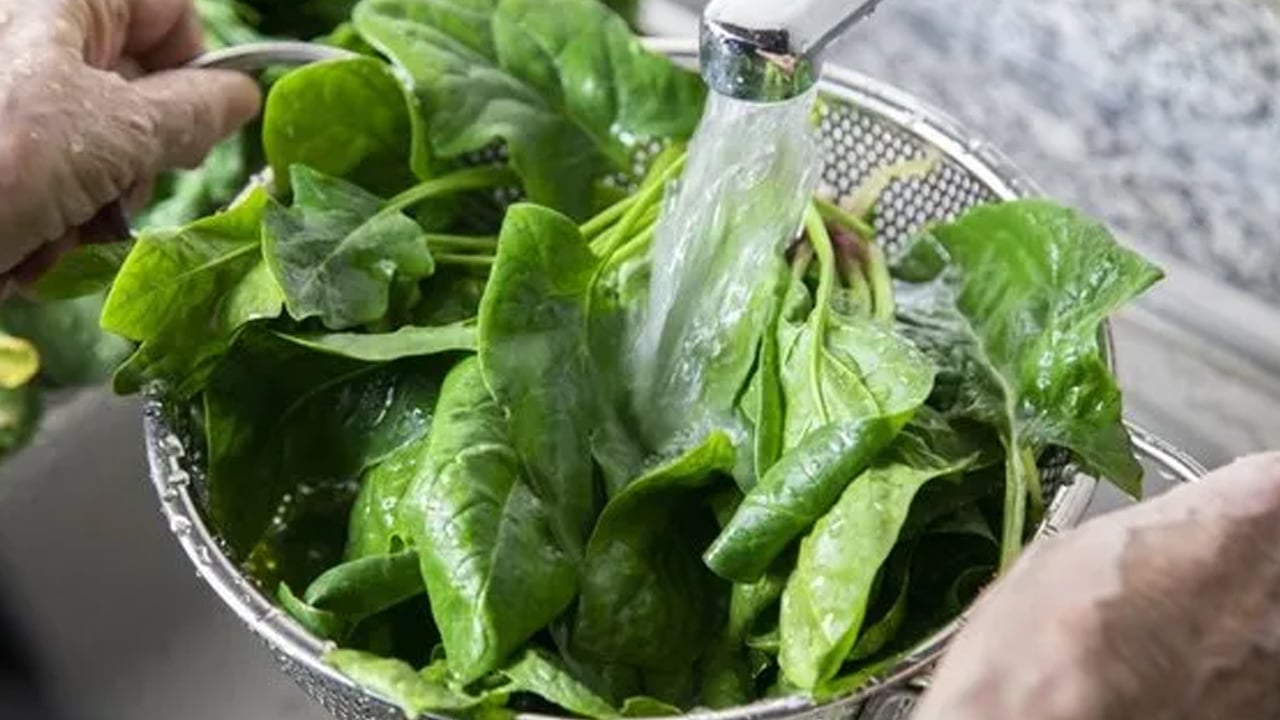  Kışın ıspanak tüketmeyen pişman olur: Faydaları uzman isimleri şaşırtıyor! Kanser tedavisinde kilit rol oynayabilir