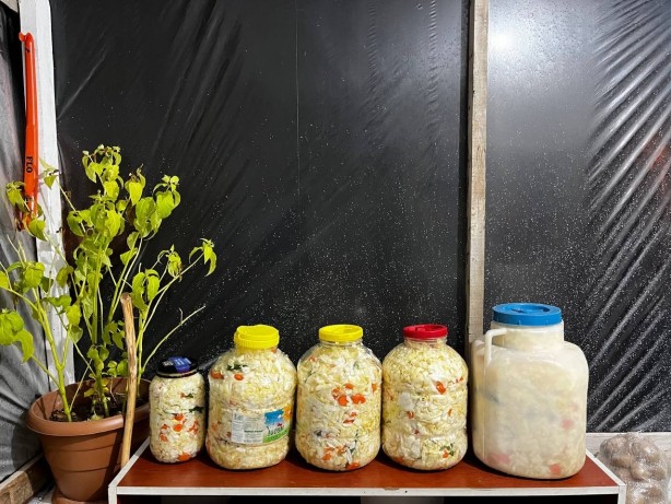 Foto - Kışın sofranızda mutlaka bulundurun! Tam bir doğal antibiyotik