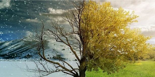 Foto - Kışın tüketebileceğiniz 5 şifalı çay: Hastalıklara kalkan oluyor: Bakın şifa saçan o fark sonuçları şok etti! 