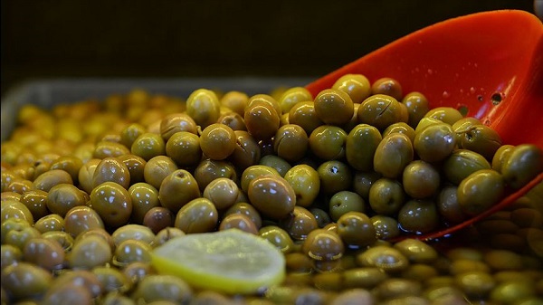 Foto - Kısırlık tehlikesi var! Canan Karatay'dan zeytin uyarısı