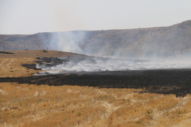 Kışlık mahsulü kül oldu