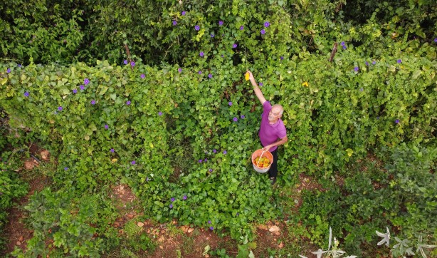 Foto - Kısmeti ayağına geldi! Ciddi para kazanıyor ama nasıl oldu o da bilmiyor
