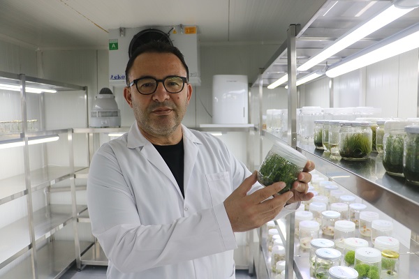 Foto - Kıtlığa karşı ata tohumlu çözüm