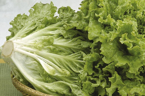 Foto - Kıvırcık deyip geçmeyin! Kanserden koruyor!