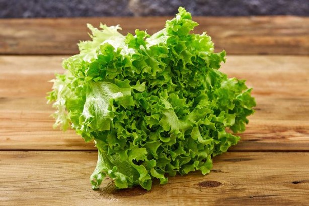 Foto - Kıvırcık doğurganlığı artırıyor