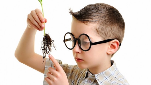 Foto - Kıvrak bir zeka için mutlaka uygulayın!