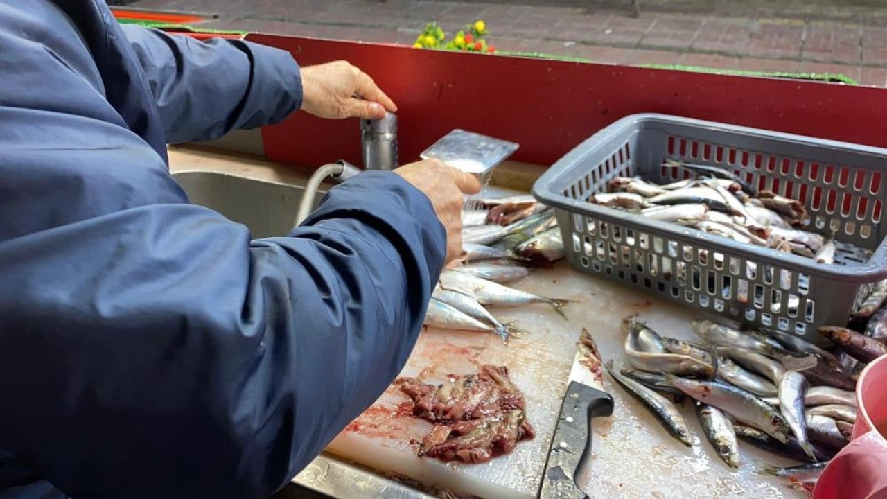 Kıvrıksa patlak değilse tazedir