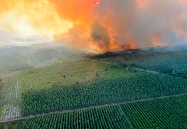 Foto - Kıyamet gibi! Zamora'da cehennem görüntüsü