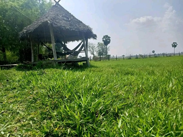 Foto - 'Kıyamet kapıda' dedi, binlerce insan evini bastı! Sırtındaki kara delik bakın neyi simgeliyormuş