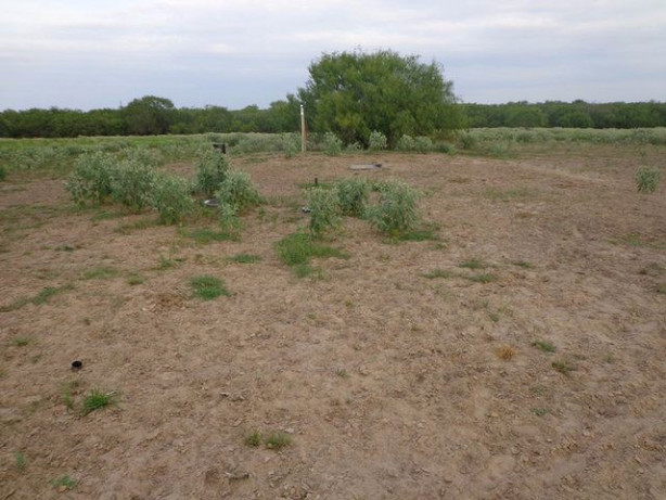 Foto - Kıyamet korkusundan bakın ne yaptı!
