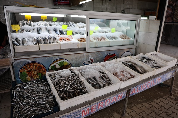 Foto - Kıyısı olmayan şehirden 6 bin ton balık 