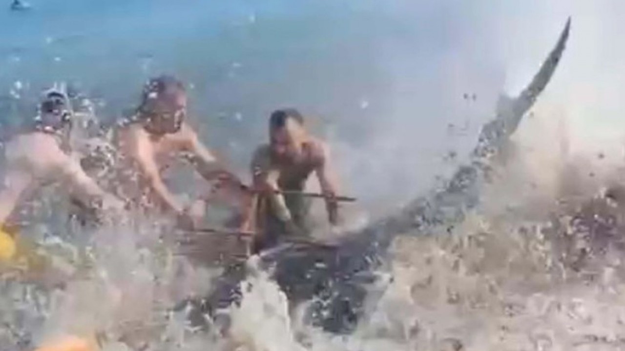 Foto - Kıyıya vuran orkinoslar için inceleme yapılacak