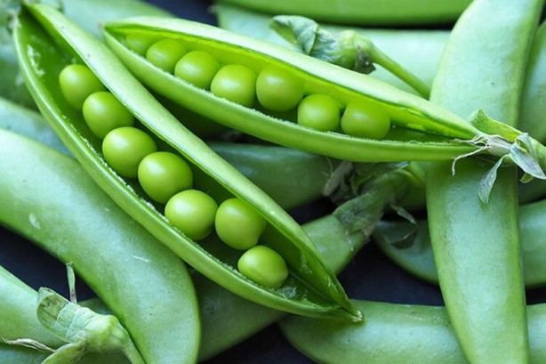 Foto - Kıymeti pek bilinmiyordu! Meğer içinde bir hazine gizliymiş