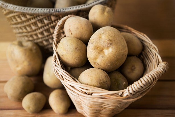Foto - Kıymeti pek bilinmiyordu! Meğer içinde bir hazine gizliymiş