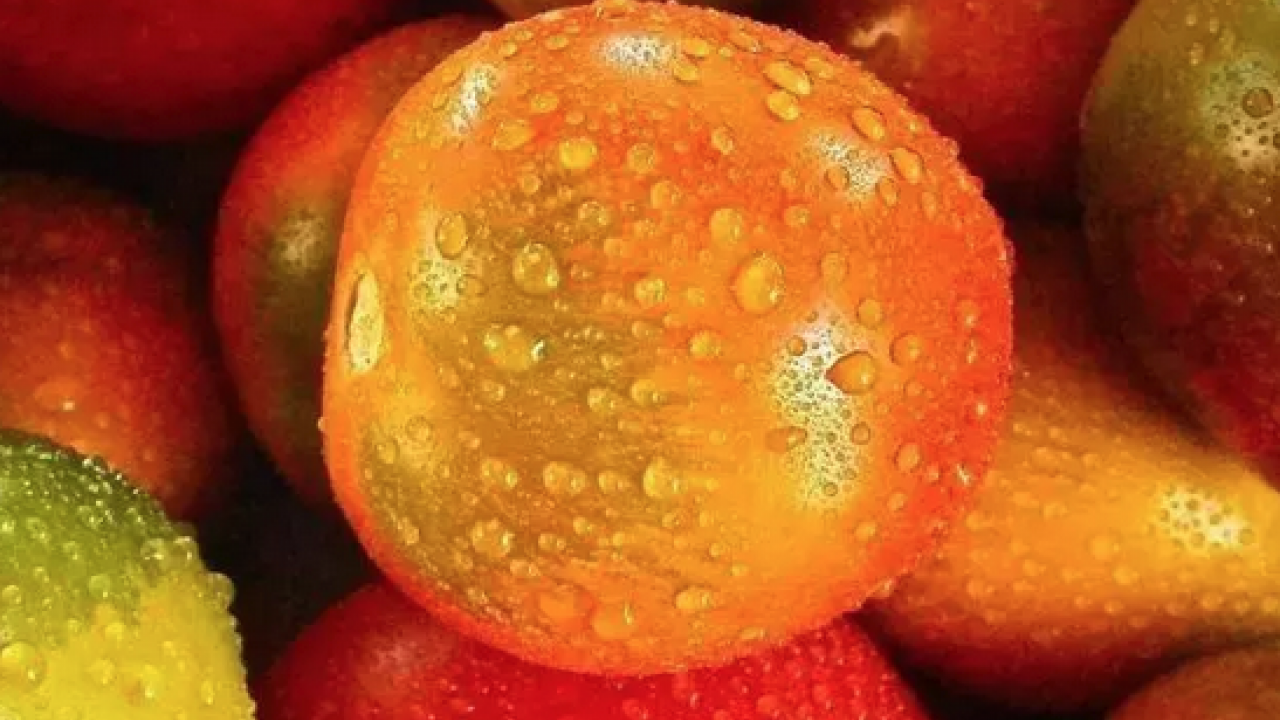 Foto - Kıymetini bilen yok ama kolesterolü damardan kazıyor! Doğanın C vitamini kralı, bel ve göbeği de mum gibi eritiyor!