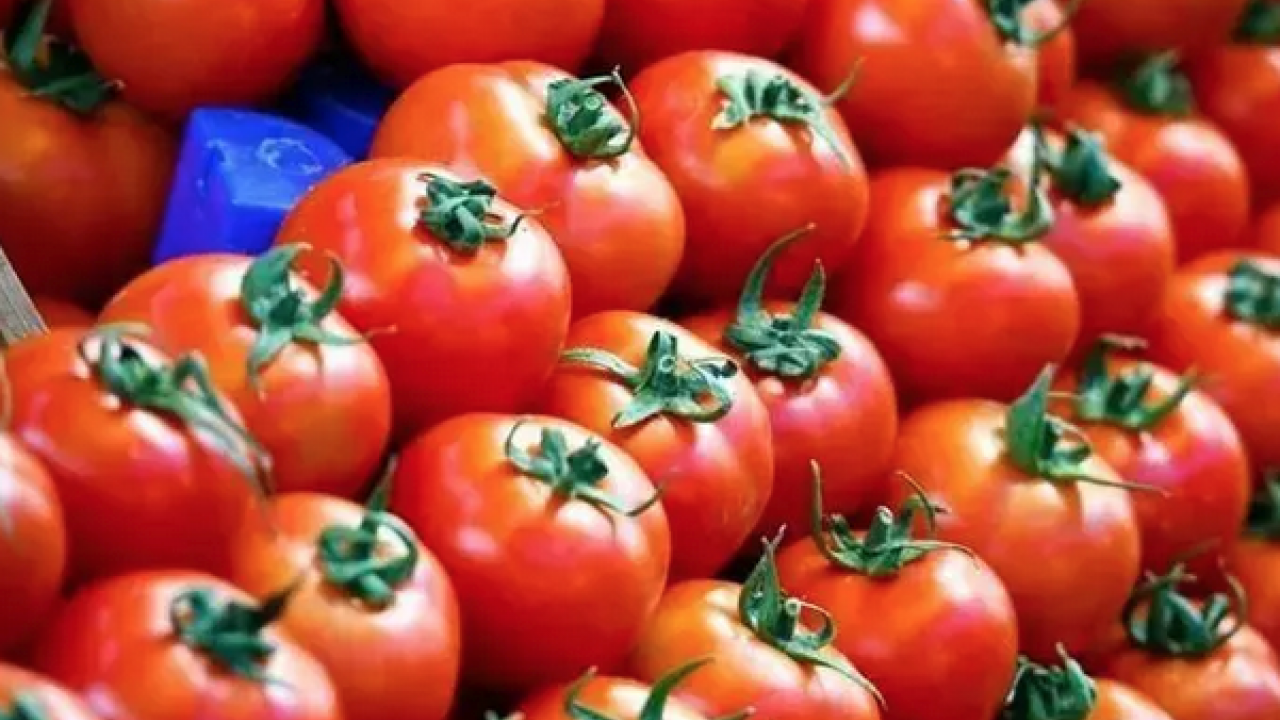 Foto - Kıymetini bilen yok ama kolesterolü damardan kazıyor! Doğanın C vitamini kralı, bel ve göbeği de mum gibi eritiyor!