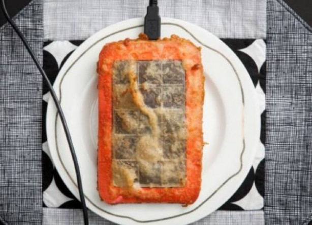 Foto - Kızarmış 'teknoloji' yer miydiniz?