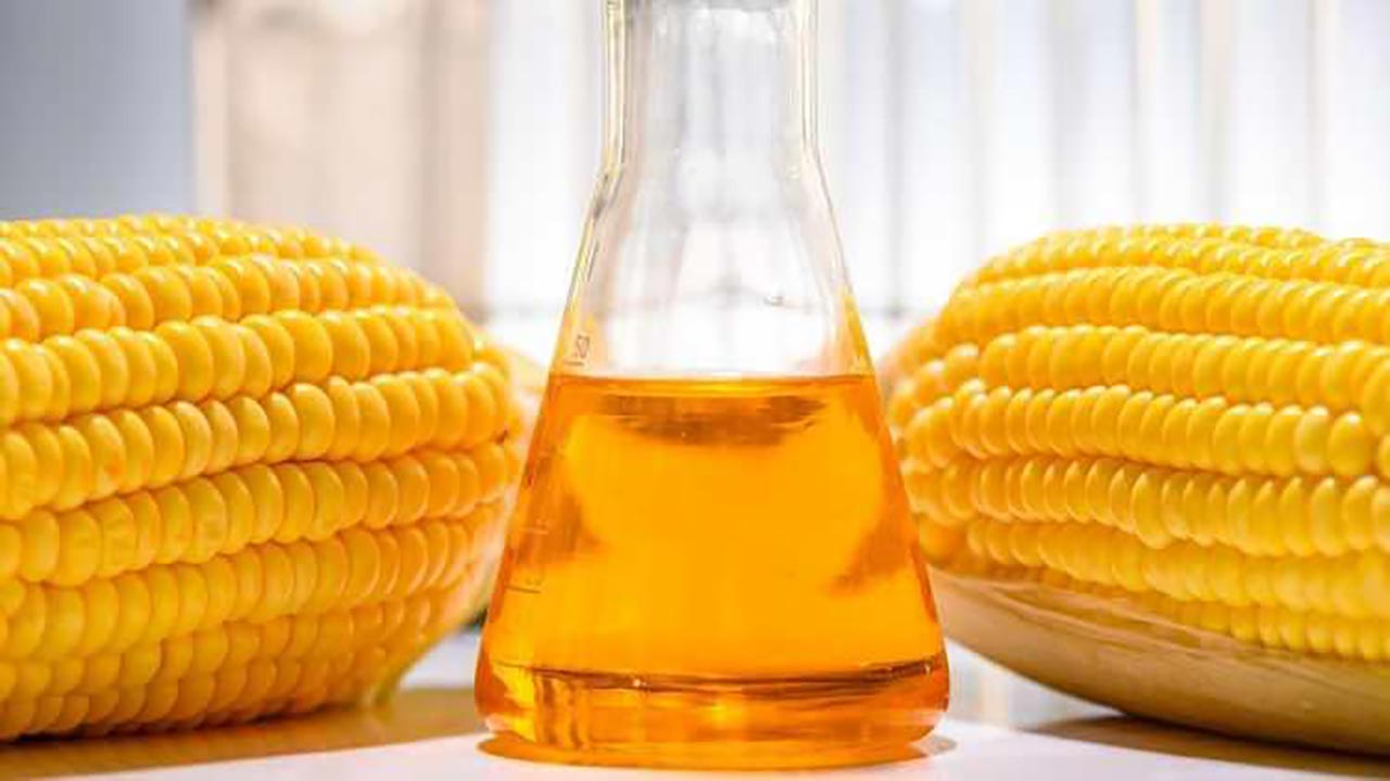 Foto - Kızartma için en iyi yağ açıklandı! Zeytinyağı ve ayçiçeği yağı değil