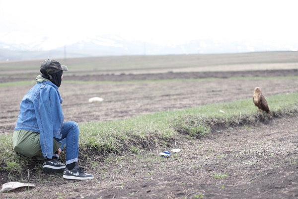 Foto - Kızıl şahin kendine arkadaş buldu