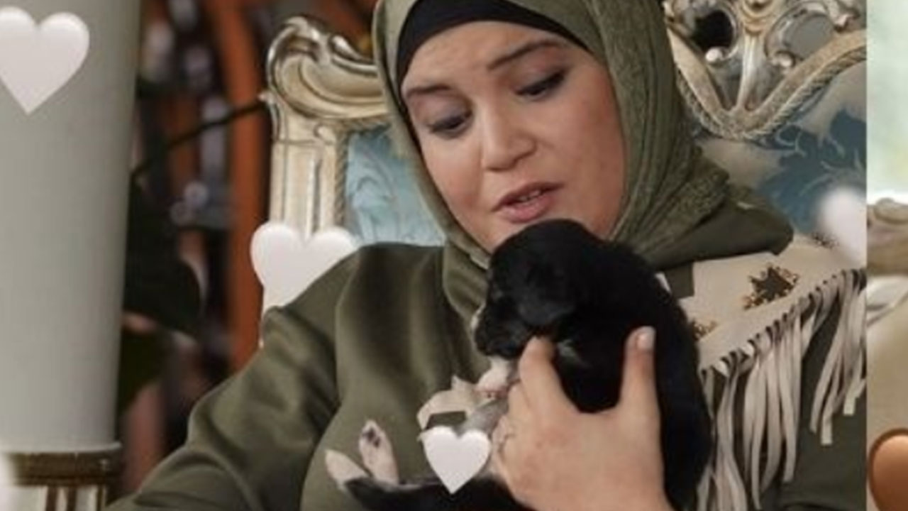 Foto - Kızılcık Şerbeti'nden skandal! Göz göre göre yalan söylediler: Hükümet açıklama yapmak zorunda kaldı