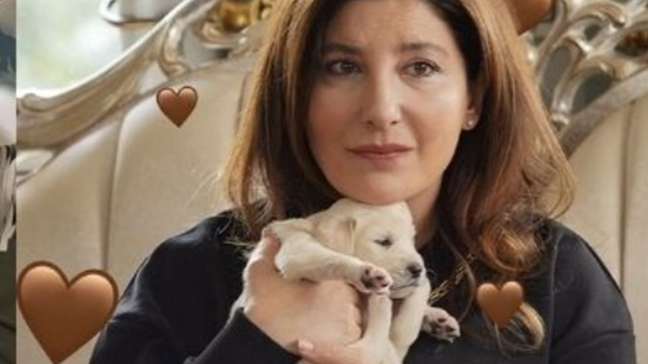 Foto - Kızılcık Şerbeti'nden skandal! Göz göre göre yalan söylediler: Hükümet açıklama yapmak zorunda kaldı