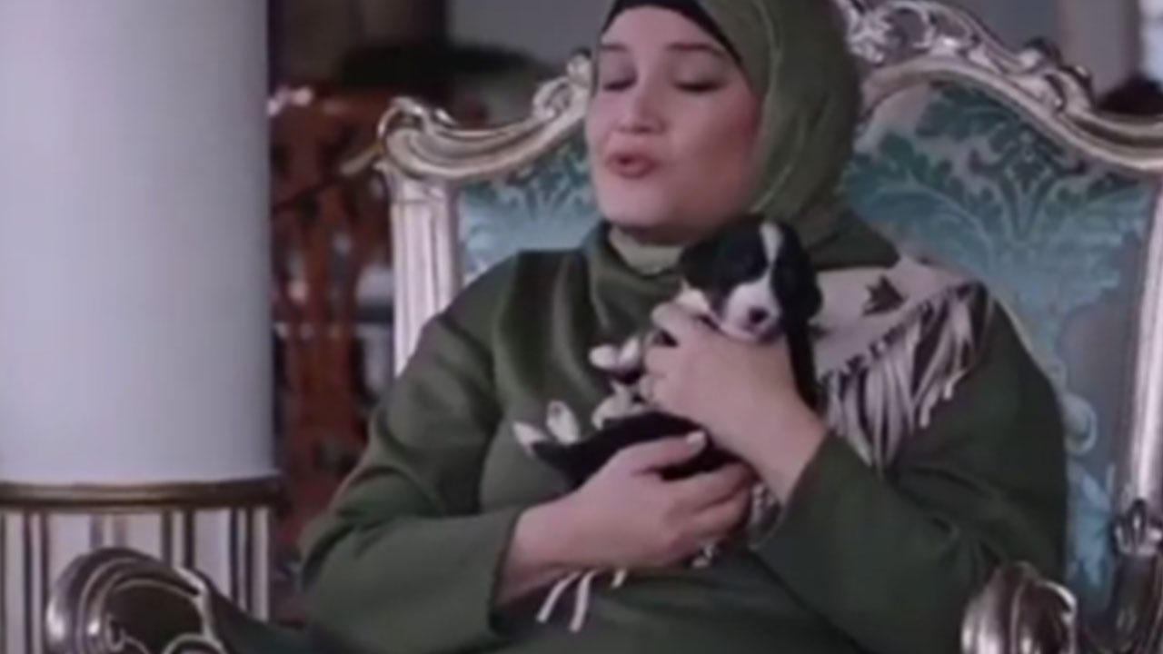 Foto - Kızılcık Şerbeti'nden skandal! Göz göre göre yalan söylediler: Hükümet açıklama yapmak zorunda kaldı