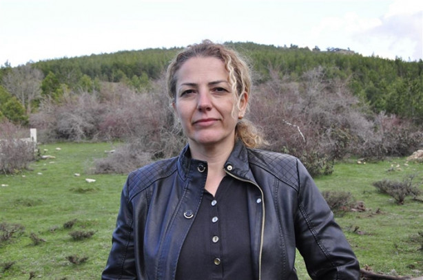 Foto - Kızılgeyiklere uydu vericisi takıldı